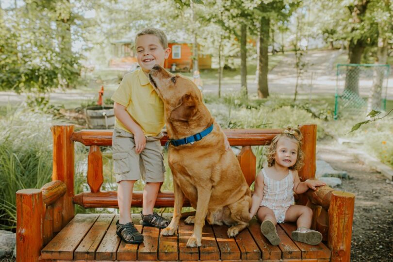 Kids on a bench with a Dog.